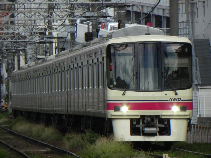 鉄道フォト・写真：京王電鉄 京王8000系電車 8781 聖蹟桜ヶ丘駅 鉄道フォト・写真 by 京王8000系愛好家さん - 撮影日 2024/06/29 15:53