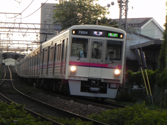 鉄道フォト・写真：京王電鉄 京王7000系電車 7804 中河原駅 鉄道フォト・写真 by 京王8000系愛好家さん - 撮影日 2024/05/20 18:15