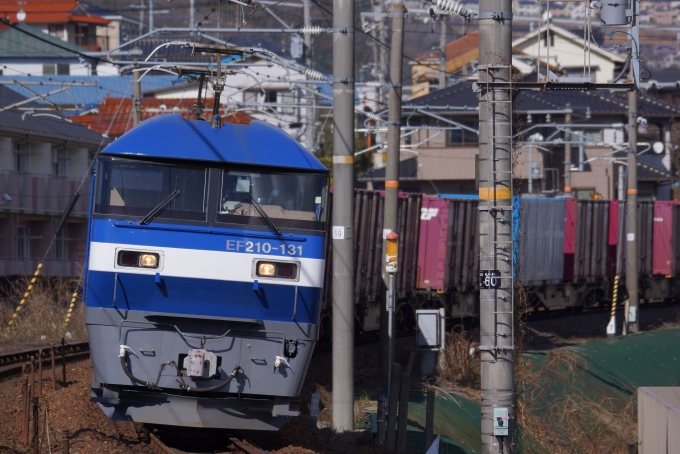 JR貨物 EF210形 EF210-131 鉄道フォト・写真 by 岡山103号機さん 中野東駅：2024年03月02日14時ごろ