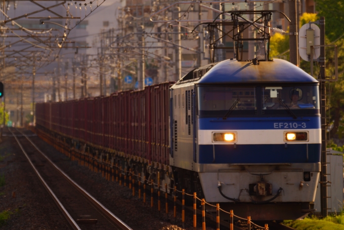 JR貨物 EF210形 EF210-3 鉄道フォト・写真 by 岡山103号機さん 新井口駅：2024年05月18日17時ごろ
