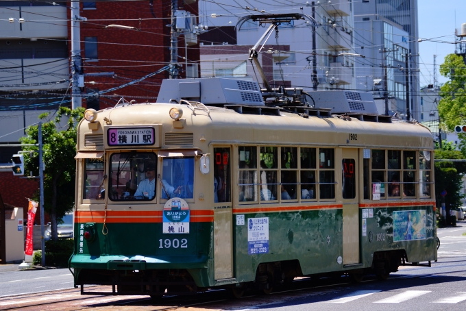 鉄道フォト・写真：広島電鉄1900形電車 1902 江波停留場 鉄道フォト・写真 by 岡山103号機さん - 撮影日 2024/07/06 11:14