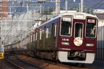 阪急電鉄 阪急1000形(Tc) 1016 鉄道フォト・写真 by ポールスターさん 御影駅 (兵庫県|阪急)：2023年11月05日07時ごろ