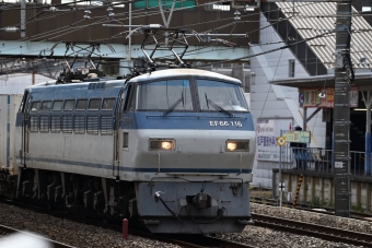 JR貨物 国鉄EF66形電気機関車 EF66 116 鉄道フォト・写真 by きさらさん 馬橋駅 (JR)：2022年03月04日13時ごろ