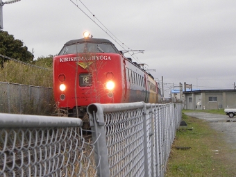クハ481-226 鉄道フォト・写真