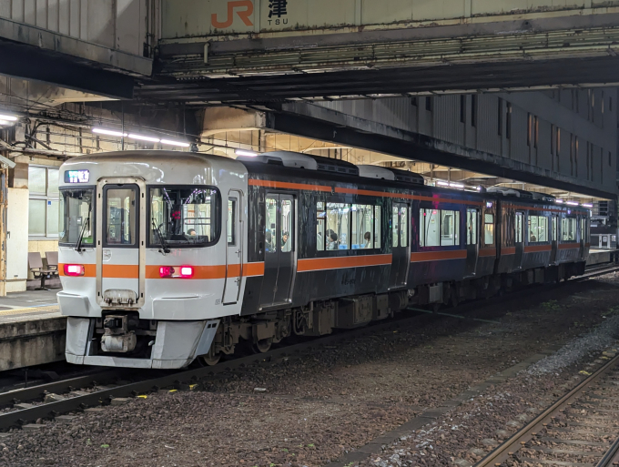 キハ25系 M102編成 (名古屋車両区) 徹底ガイド | レイルラボ(RailLab)