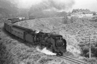国鉄D51形蒸気機関車 D51170 鉄道フォト・写真 by マイクさん 大畑駅 (熊本県)：1971年08月18日10時ごろ