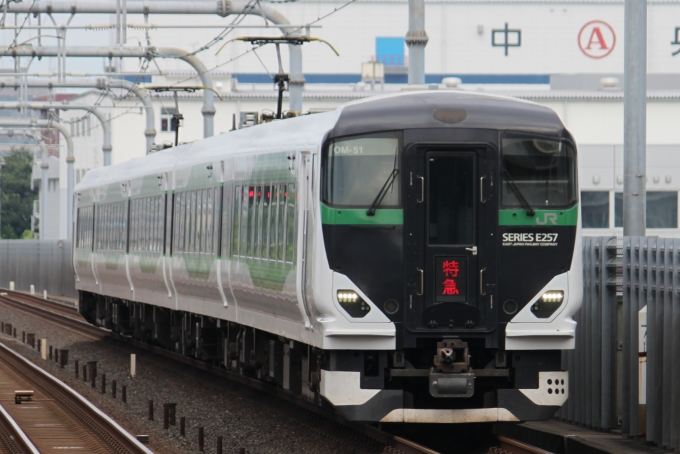 鉄道フォト・写真：JR東日本  マリンアロー外房 越谷レイクタウン駅 鉄道フォト・写真 by タキシードさん - 撮影日 2024/07/27 07:44