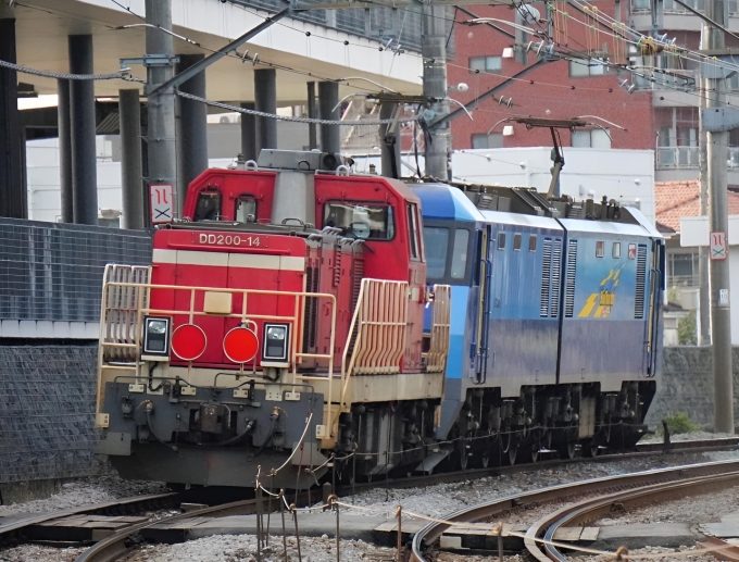 鉄道フォト・写真：JR東日本  高崎駅 鉄道フォト・写真 by あ"さん - 撮影日 2024/05/19 16:30