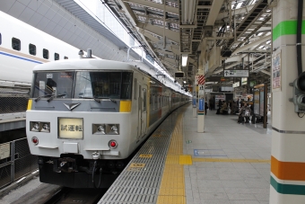 JR東日本 クハ185形 クハ185-313 鉄道フォト・写真 by ジャンクさん 東京駅 (JR)：2014年11月16日11時ごろ
