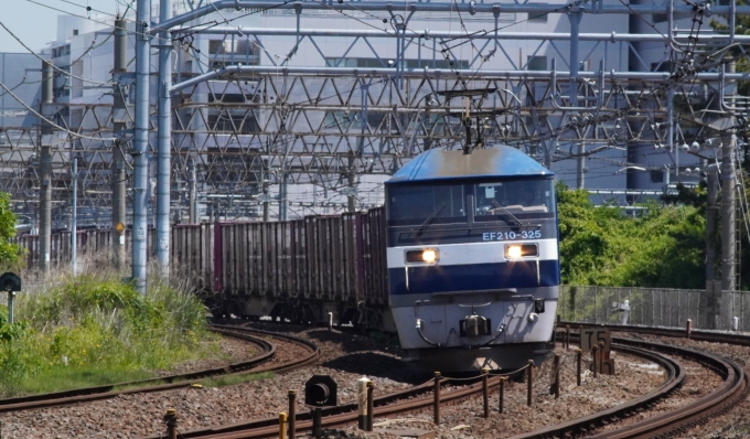 JR貨物 EF210形 EF210-325 鉄道フォト・写真 by Nanahoshiさん 大船駅 (JR)：2024年05月18日10時ごろ