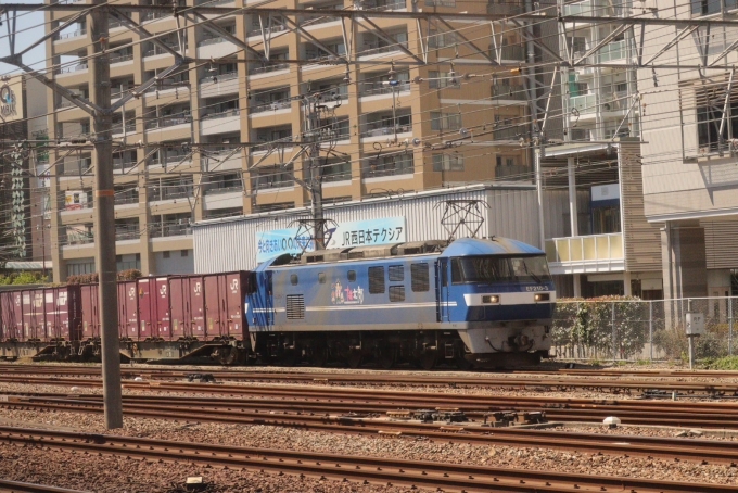 JR貨物 EF210形 EF210-3 鉄道フォト・写真 by kumoha220-1さん 尼崎駅 (JR)：2024年05月10日15時ごろ
