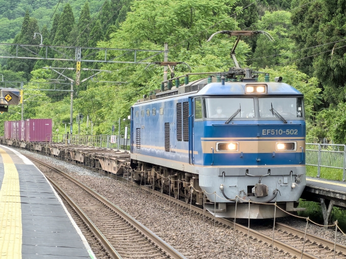 JR貨物 EF510形 EF510-502 鉄道フォト・写真 by Chihyuenさん 南今庄駅：2024年05月27日08時ごろ
