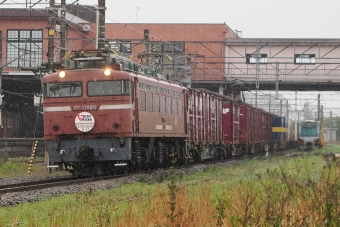 JR貨物 国鉄EF81形電気機関車 EF81-406 鉄道フォト・写真 by SATSUMANIA777さん 古賀駅：2024年04月20日16時ごろ