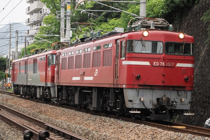 鉄道フォト・写真：JR貨物 国鉄ED76形電気機関車 ED76-1017 香椎駅 鉄道フォト・写真 by SATSUMANIA777さん - 撮影日 2024/06/17 16:41