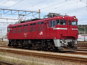 JR東日本 国鉄ED75形電気機関車 ED75 777 鉄道フォト・写真 by みずいろテクノさん ：2017年10月14日12時ごろ