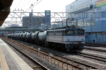 JR貨物 国鉄EF65形電気機関車 EF65 1065 鉄道フォト・写真 by konomaさん 蘇我駅：2012年01月28日12時ごろ