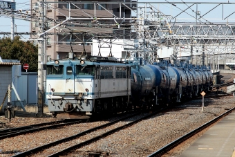JR貨物 国鉄EF65形電気機関車 EF65-1101 鉄道フォト・写真 by konomaさん 蘇我駅：2012年01月28日12時ごろ