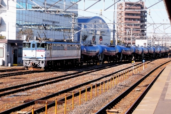 JR貨物 国鉄EF65形電気機関車 EF65 1060 鉄道フォト・写真 by konomaさん 蘇我駅：2011年12月30日12時ごろ