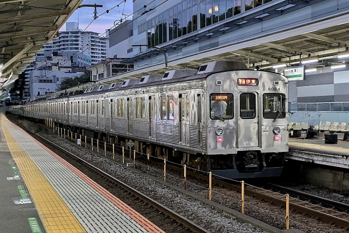 伊豆急行 クハ8004 (伊豆急8000系) 車両ガイド | レイルラボ(RailLab)