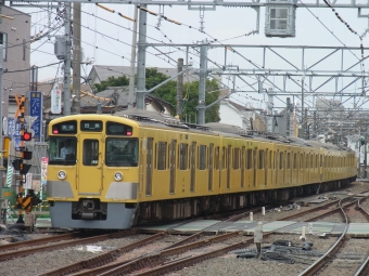 西武鉄道 西武クモハ2401形 2545 鉄道フォト・写真 by 西武電車さん 沼袋駅：2024年06月23日13時ごろ