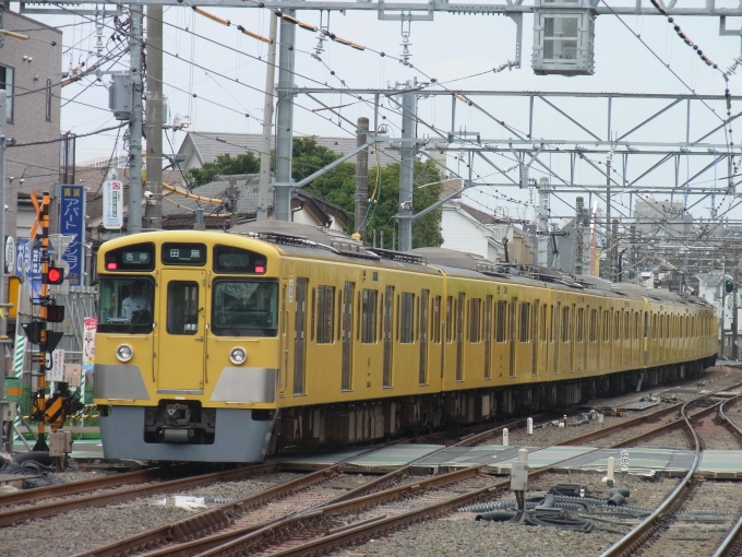 鉄道フォト・写真：西武鉄道 西武2000系電車 2545 沼袋駅 鉄道フォト・写真 by 西武電車さん - 撮影日 2024/06/23 13:30