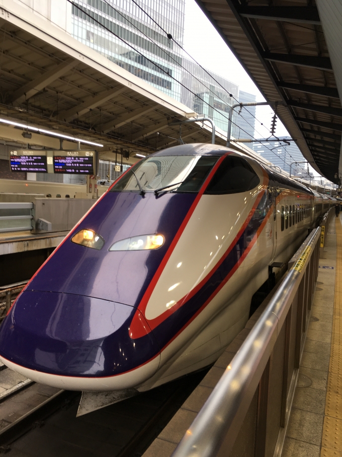 鉄道フォト・写真：JR東日本  東京駅 (JR) 鉄道フォト・写真 by pearlさん - 撮影日 2019/12/22 11:58