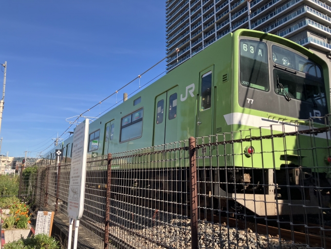 鉄道フォト・写真：JR西日本 国鉄201系電車 久宝寺駅 鉄道フォト・写真 by pearlさん - 撮影日 2024/07/07 16:38