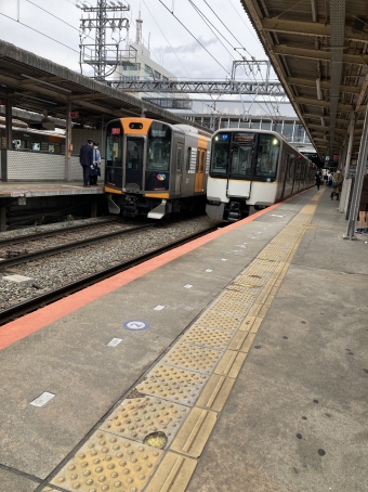 阪神電鉄 阪神1000系電車 鉄道フォト・写真 by pearlさん 大和西大寺駅：2023年04月05日12時ごろ