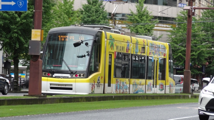 鉄道フォト・写真：鹿児島市交通局7000形電車 7003B 高見馬場停留場 鉄道フォト・写真 by Macam1024さん - 撮影日 2024/06/15 14:10