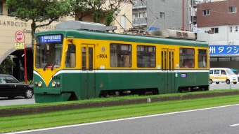 鹿児島市交通局 9504 鉄道フォト・写真 by Macam1024さん 桜島桟橋通停留場：2024年06月12日13時ごろ