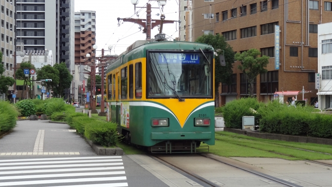 鉄道フォト・写真：鹿児島市交通局2100形電車 2101 鹿児島中央駅前停留場 鉄道フォト・写真 by Macam1024さん - 撮影日 2024/06/12 14:56