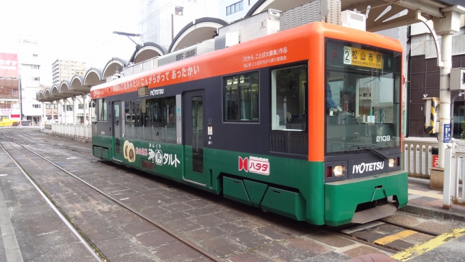 鉄道フォト・写真：伊予鉄道モハ2100形電車 2109 松山市駅前停留場 鉄道フォト・写真 by Macam1024さん - 撮影日 2024/07/09 07:44