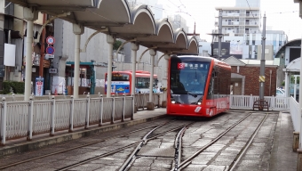 伊予鉄道モハ5000形電車 5012 鉄道フォト・写真 by Macam1024さん 松山市駅前停留場：2024年07月09日07時ごろ