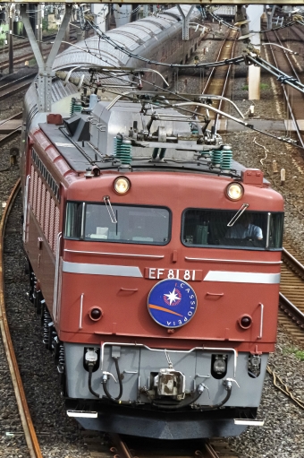 JR東日本 国鉄EF81形電気機関車 寝台特急カシオペア EF81-81 鉄道フォト・写真 by ゆるーいさん 日暮里駅 (JR)：2024年06月15日15時ごろ