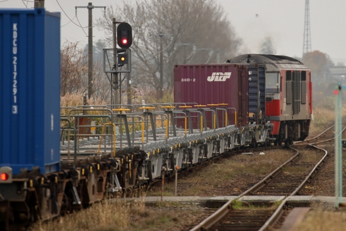 鉄道フォト・写真：JR貨物 DF200形ディーゼル機関車 自衛隊臨 DF200-5 古山駅 鉄道フォト・写真 by ニコラス佐々木商店さん - 撮影日 2017/10/22 14:35