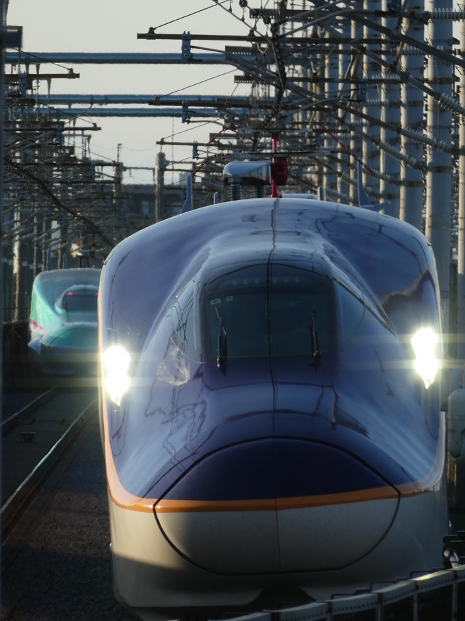 鉄道フォト・写真：JR東日本 E8系新幹線電車 武蔵浦和駅 鉄道フォト・写真 by 2100-expressさん - 撮影日 2024/03/10 16:56