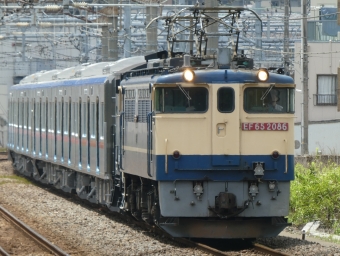 JR貨物 国鉄EF65形電気機関車 EF65-2086 鉄道フォト・写真 by 2100-expressさん 大船駅 (JR)：2024年07月15日11時ごろ