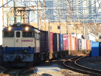 JR貨物 国鉄EF65形電気機関車 ef65-2096 鉄道フォト・写真 by 2100-expressさん 八丁畷駅 (JR)：2024年03月03日16時ごろ