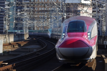 JR東日本 E6系新幹線 こまち(新幹線) 鉄道フォト・写真 by Higashiさん 仙台駅 (JR)：2024年06月20日16時ごろ