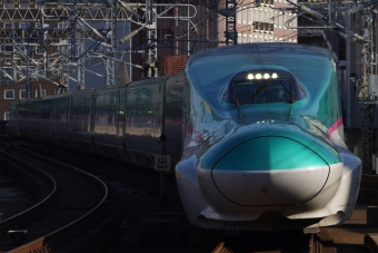 JR東日本 E5系新幹線 鉄道フォト・写真 by Higashiさん 仙台駅 (JR)：2024年06月29日16時ごろ