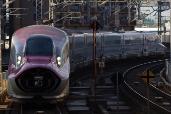 JR東日本 やまびこ(新幹線) 鉄道フォト・写真 by Higashiさん 仙台駅 (JR)：2024年06月20日17時ごろ