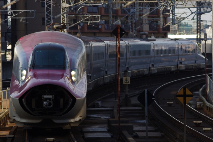 鉄道フォト・写真：JR東日本  やまびこ 仙台駅 (JR) 鉄道フォト・写真 by Higashiさん - 撮影日 2024/06/20 17:14