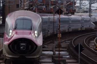 JR東日本 やまびこ(新幹線) 鉄道フォト・写真 by Higashiさん 仙台駅 (JR)：2024年06月06日17時ごろ
