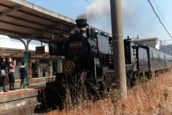 JR九州 国鉄8620形蒸気機関車 SL人吉(快速) 58654号機 鉄道フォト・写真 by 琵琶湖3411Mさん 玉名駅：2023年12月30日11時ごろ