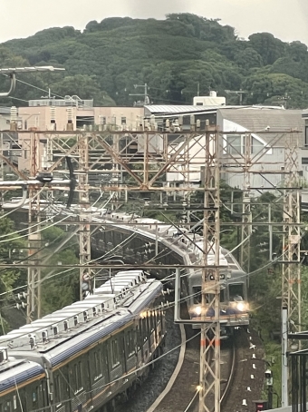 南海電鉄 鉄道フォト・写真 by サツキ0722さん 堺東駅：2024年07月14日17時ごろ
