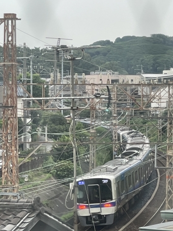 南海電鉄 鉄道フォト・写真 by サツキ0722さん 堺東駅：2024年07月14日16時ごろ