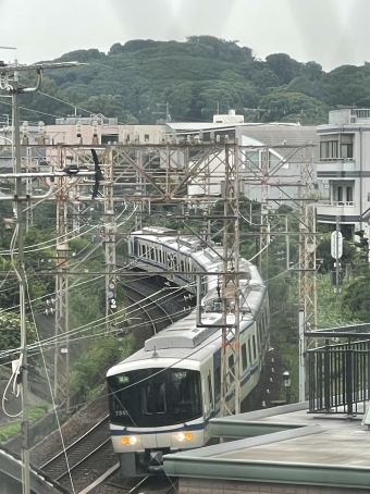 南海電鉄 鉄道フォト・写真 by サツキ0722さん 堺東駅：2024年07月14日16時ごろ