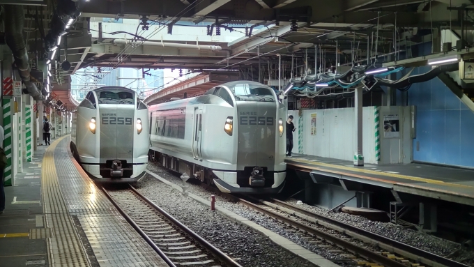 鉄道フォト・写真：JR東日本  品川駅 (JR) 鉄道フォト・写真 by ミツさん - 撮影日 2024/07/16 12:09