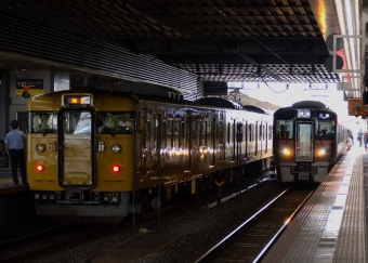 JR西日本 国鉄115系電車 鉄道フォト・写真 by DMF02さん 岡山駅：2023年09月10日13時ごろ