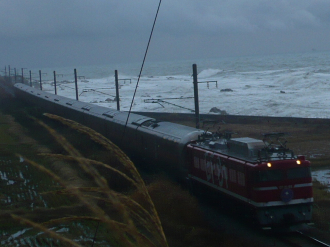 E26系 カシオペア編成 (尾久車両センター) 徹底ガイド | レイルラボ